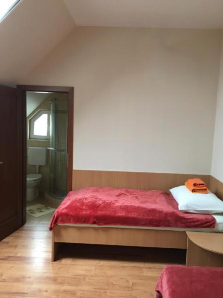 Hotel Napfeny Panzio Es Rendezvenyhaz Kecskemét Exteriér fotografie